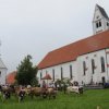Viehscheid 2012